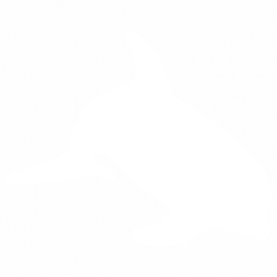 Делфин