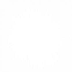 Urchin
