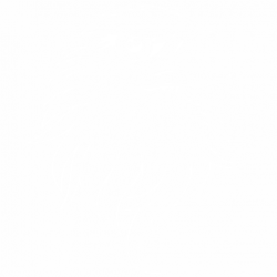 Орел