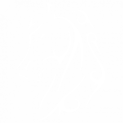 Кон