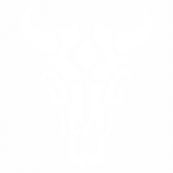 Череп