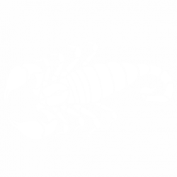 Скорпион