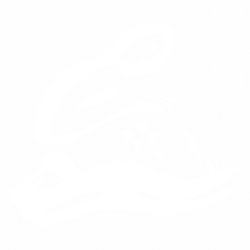 Aquarius
