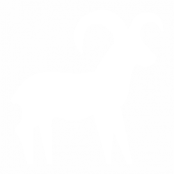 Aries