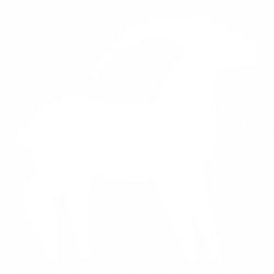 Capricorn