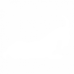 Козирог