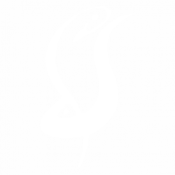 Риби