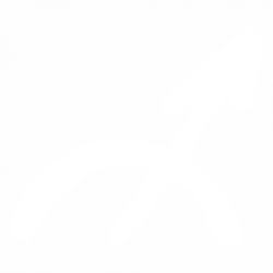 Стрелец