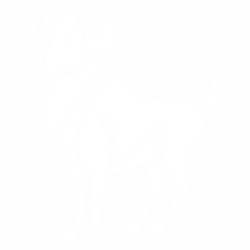 Aries