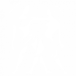 Близнаци