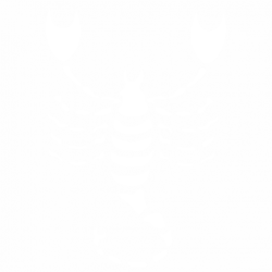 Cancer