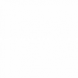 12 valve efi