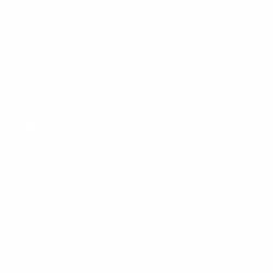 Fzr