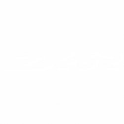 ZX 6 