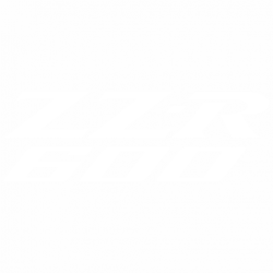Zzr 600