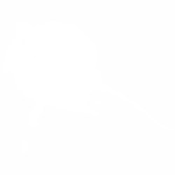 Петно