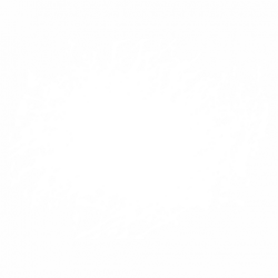 Петно