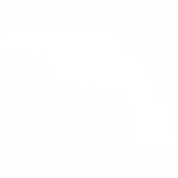 Pistol